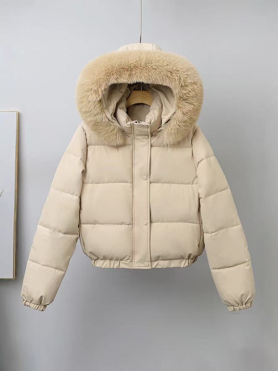T588-737  Warm inside, warm jacket, cotton jacket